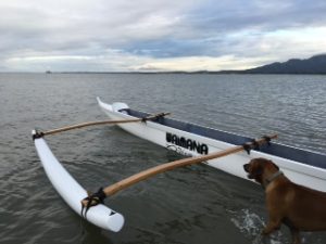 A Waimana Va'a canoe on the water.
