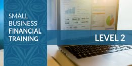 Small Business Financial Training – Level 2