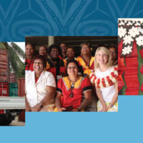 PIPSO to Launch 2016-2019 Strategic Plan and Revamped Website