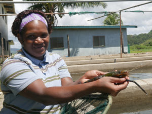 Some prawns anyone?
