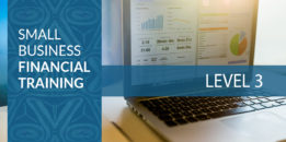 Small Business Financial Training (Level 3)