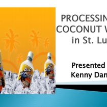 Processing of Green Coconut Water at St Lucia