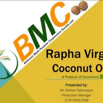 Rapha Virgin Coconut Oil by Dominicia