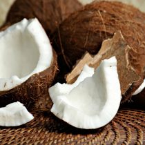 Oil and protein from fresh coconut meat
