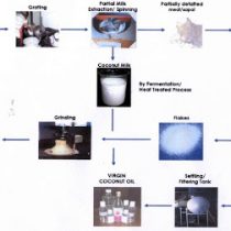 Production of coconut flour and virgin coconut oil