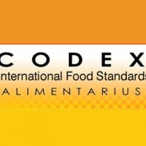 The Codex Process