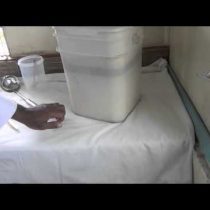 Processing Virgin Coconut Oil – A step-by-step Video Guide